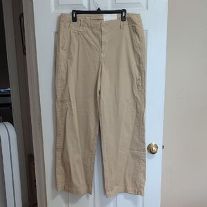 American Eagle Outfitters Tan Chinos